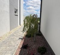 A family house in Boldog with a narrow exterior passage and a landscaped walkway.