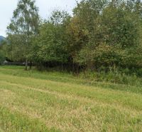 A green field surrounded by trees in recreational plots in Turany.