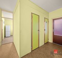 Hallway in a 3-room apartment with a refrigerator, wood-patterned flooring, and yellow walls.
