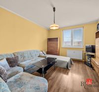 Living room in a 3-room apartment with a wooden decor floor, sofa, and furniture.