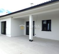 A family house in Hlboké with a light facade and a spacious terrace.
