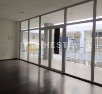 Interior with large glass doors and wood-patterned flooring in a 2-room apartment.