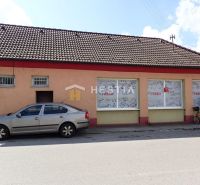 The family house in Borský Mikuláš has a brick facade, with a car parked next to it.