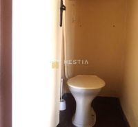 A toilet in a family house with a dark floor and a small window.