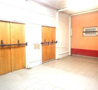 The basement of a family house with brick walls and wooden doors.