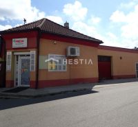 Commercial space in Borský Mikuláš with a brown roof and facade.