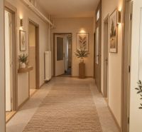 Interior of a family house with a light carpet and plant decorations near the lights.