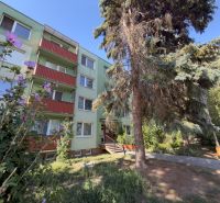 A high-rise building surrounded by greenery on Pod hájkom Street in Skalica.