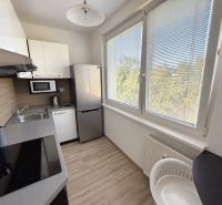 A kitchen in a 2-room apartment with a wood-patterned floor, large window, appliances.