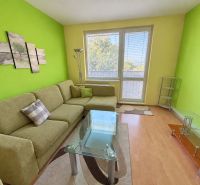 Furnishing the living room in a 2-room apartment with a wooden decor floor and colorful walls.