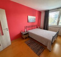 Bedroom in a 2-room apartment with a red wall, bed, and wooden decor flooring.