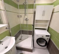 Bathroom in a 2-room apartment with a sink, shower, dishwasher, and white cabinets.