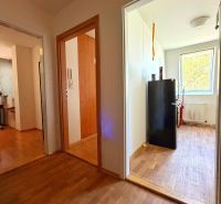 A view into the rooms of a 2-room apartment with a wooden decor floor.