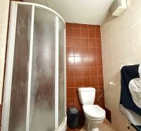 A bathroom in a 2-room apartment with a corner shower and simple sanitary facilities.