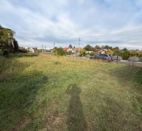 Residential plots in the village of Veľké Ripňany on Mlynská Street with green grass and shrubs.