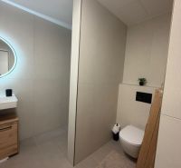 Bathroom in a 2-room apartment with a sink, shower, and toilet.
