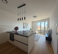 A kitchenette in a 2-room apartment with a wooden decor floor and a view of the city.