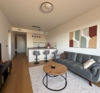 Living room in a two-room apartment with a wooden decor floor, a sofa, and a kitchenette.