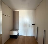 Entrance hallway with white doors and a wooden decor floor in a 2-room apartment.