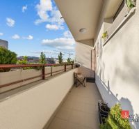 A balcony of a 3-room apartment with greenery and a view of Šancová Street, Bratislava-Nové Mesto.