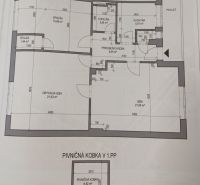 Floor plan of a 3-room apartment with a pantry and a cellar storage room.