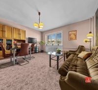 Living room in a 3-room apartment, with carpeted floor, bookshelf, and retro furniture.