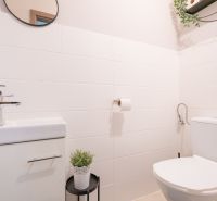 Bathroom in a 3-room apartment with a sink, mirror, and decorative greenery.
