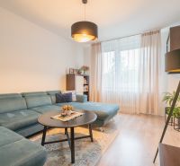 Living room in a 3-room apartment with a sofa, coffee table, and floor with a wooden decor.