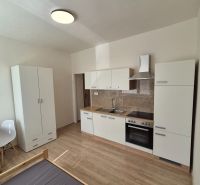 Kitchen unit in a studio apartment with a wooden decor floor.