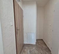 Entrance hall of a studio apartment with ceramic tiles and wooden doors.