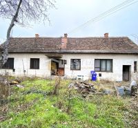 A family house in Borský Svätý Jur, an older building with a spacious garden and vegetation.