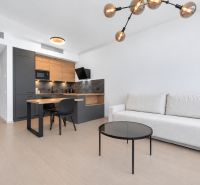 Living room with a kitchenette, wooden decor flooring, and a white sofa in a two-room apartment.