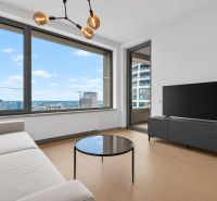 Living room in a two-room apartment with a sofa, television, and a view from a large window.