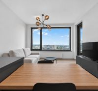 Bright living room with wood-patterned flooring, large window, and modern furniture in a 2-room apartment.