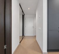 A hallway in a 2-room apartment with a wooden decor floor and white fire door.