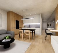 Living area in a studio apartment with a sofa, dining table, and kitchen.