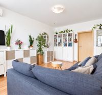 Living room in a 3-room apartment with a sofa, television, and plants, floor with wooden decor.