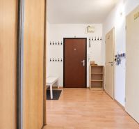 A hallway with an entrance door, a wardrobe, and a floor with a wooden decor in a 3-room apartment.