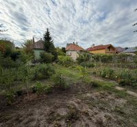 A garden in the background with family houses on Šulekova Street in Nové Zámky.