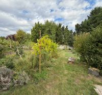 Garden of a family house on Šulekova Street in Nové Zámky with fruit trees.
