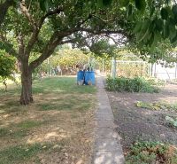 Gardens in Nesvady full of trees and vegetable beds located behind the fence.