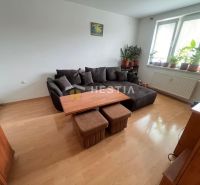 Living room in a 3-room apartment with a sofa, wood-patterned flooring, and flowers.