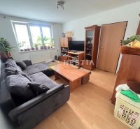 Living room in a 3-room apartment with a comfortable sofa and wooden decor flooring.