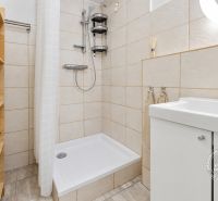 Bathroom with a shower, sink, and wooden shelf in a studio apartment.