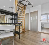 Interior of a 5 or more room apartment with a wooden decor floor and gymnastic wall bars.