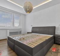 A bedroom in a 5 or more room apartment with a bed, furniture, and flooring with a wood decor.