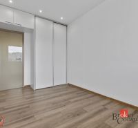 A room in a 5 or more bedroom apartment with a wood-decor floor and a built-in wardrobe.