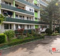 Apartment building on Donnerova Street in Bratislava-Karlova Ves with greenery in the surroundings.