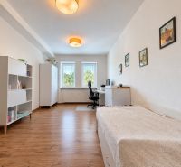A bright room in a 3-room apartment with a wood-patterned floor, one bed, and an office desk.