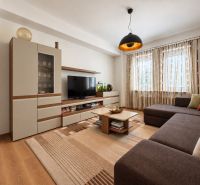 Living room in a 3-room apartment with a wooden decor floor and a comfortable sofa.
